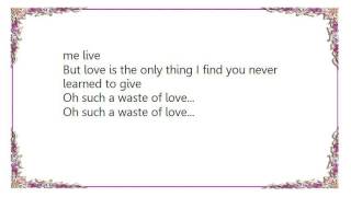 Waylon Jennings - Such a Waste of Love Lyrics