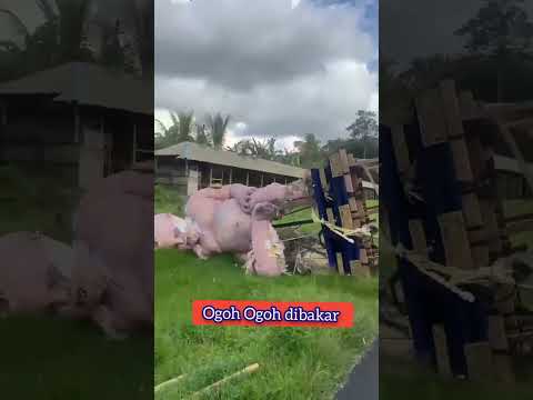 Detik detik Ogoh Ogoh dibakar #ogohogoh #karnaval #karnavallucu #karnavalparty #ogohogohdibakar #fyp