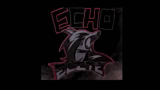 Hallandale High-JROTC (ECHO ELITE) Mannequin Challenge