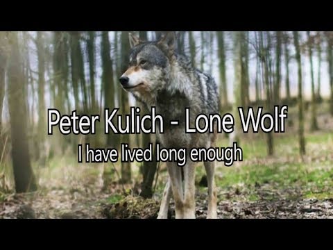 Peter Kulich - Peter Kulich - Lone wolf (ft. Palo Ledaj - acoustic version)