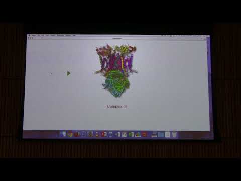 Lecture #36 Ahern's BB 451 - ETS & Oxidative Phosphorylation