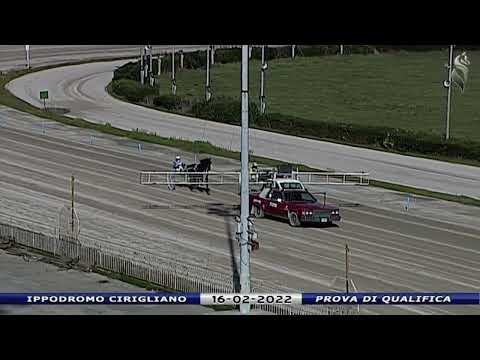 Aversa trotto 16 Febbraio 2022 - Prova di qualifica