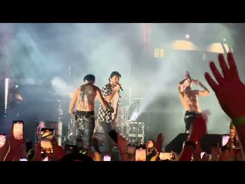 LA SAD x PINGUINI TATTICI NUCLEARI - MALEDETTA VITA LIVE (Carroponte 2024)