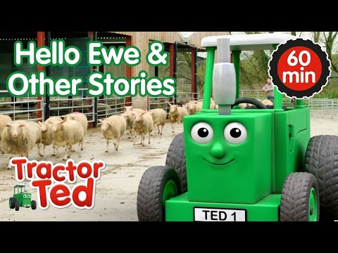 Hello Ewe & Other Tractor Ted Stories 🚜 | Tractor Ted Compilation | Tractor Ted Official