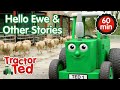 Hello Ewe Other Tractor Ted Stories Tractor Ted Compilation Tractor Ted Official