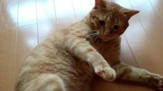 ユウスケ日記 2017 7/28