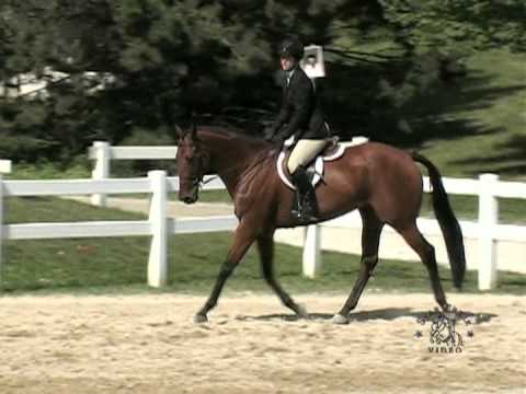 Katy Gron & Scarlet Jeff - 'A' Finals Sept 2013 SATURDAY