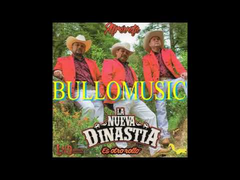 La Nueva Dinastia -Mi Juventud A Los 40