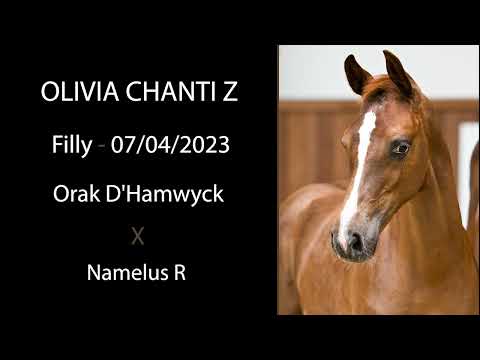 Olivia Chanti Z (Orak D'Hamwyck x Namelus R)