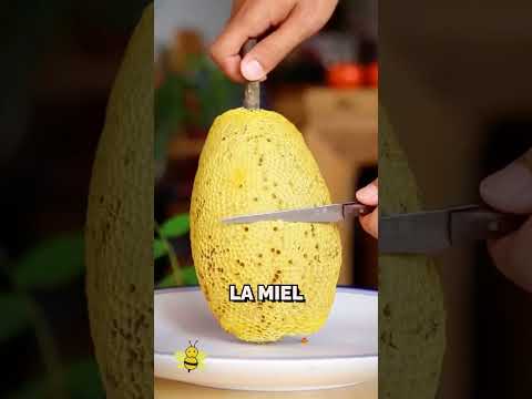 Diferencia entre miel real y artificial 😲🐝 #shorts #curiosidades