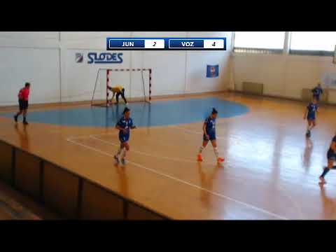 10. kolo Playout 2018-2019 / SRLS / ZRK Junior - ZRK Vozdovac 1955