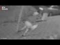 Camerabeelden bevestigen: explosie in flat Kanaleneiland is aanslag  [RTV Utrecht]