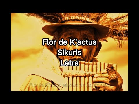 Sikuris  Flor de Kactus Letra