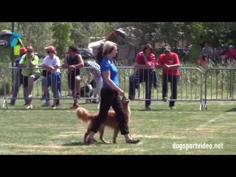 FCI World Championship Obedience 2017
