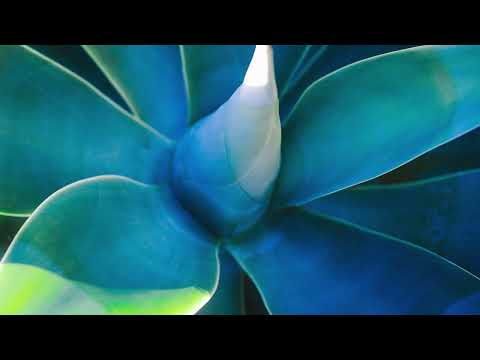 Fejká - Azur (Full Album)