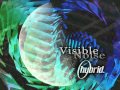 Hybrid - Visible Noise