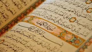 القرأن الكريم / صوت يجعلك ترتاح نفسيا / quran al karim