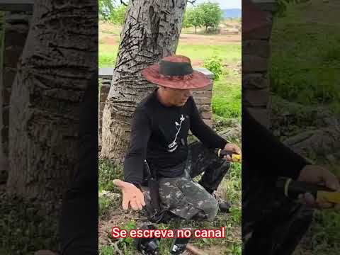 achamos um projétil nas ruínas da antiga comunidade de Barra de Santana jucurutu RN