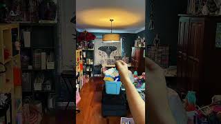 Organization and Optimization!