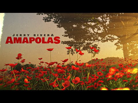 Jerry Rivera - Amapolas (Lyric Video)