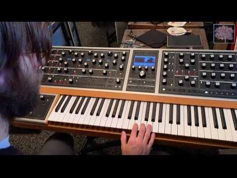 Multimoog Jam with Moog One, Grandmother, Voyager, Mother 32, DFAM