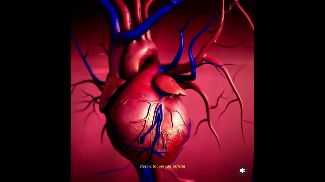 Meredyth Vanessa Betancourt Cordido-9