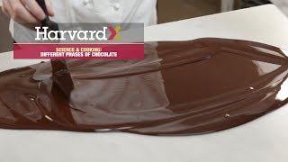 Different phases of chocolate