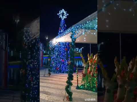 🌲Águas de Lindóia SP