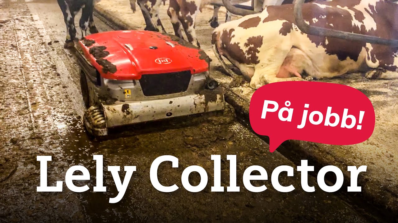 Vi besøker Vangen Øvre