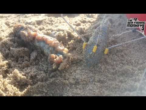 European Open Beach Championships 2019