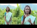 சுவாச குழாய் சமந்தப்பட்ட நோய்களை 3 நா�