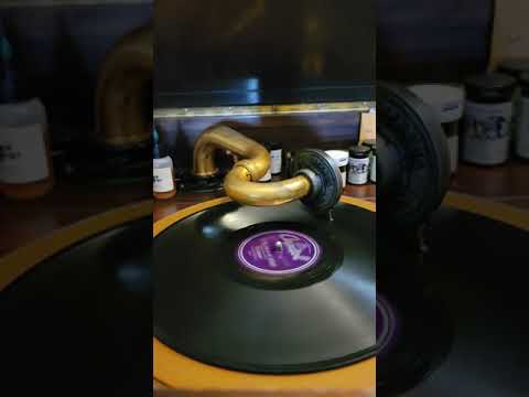 I'll See You in My Dreams - Ray Anthony and his Orchestra  Brunswick Records #819 1949