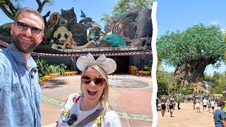 We haven't done this at Animal Kingdom in FOREVER!!