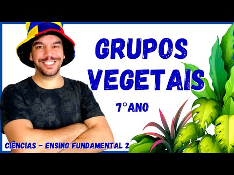 🌻Plant Groups | Bryophytes, Pteridophytes, Gymnosperms and Angiosperms | Complete Class - Botany