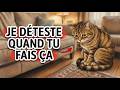 5 choses qui font du mal à ton chat et que tu fais tous les jours !