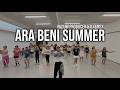 ARA BENI SUMMER - Nilium Producer & DJ Emsy (Tiktok VIRAL) New Dance Fitness | NDF Vibe| ZIN NATHAN