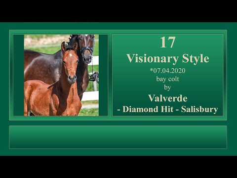 17 Visionary Style by Valverde - Diamond Hit - Salisbury