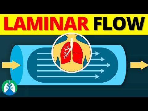 Fick s First Law of Diffusion and Lung Gas Exchange EXPLAINED