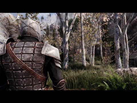 Skyrim SE - 2019 Ultra Realism Modded (1440p 60fps)