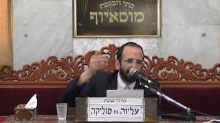הרב אליהו חיים פנחסי | כשרות העלים - גידול מיוחד ללא חרקים