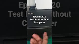 Epson L120 Test Print without Computer