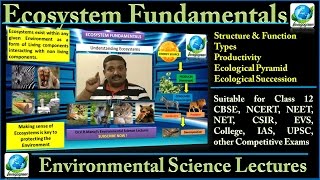 Environmental Science Ecosystem Fundamentals  for CBSE, NCERT, EVS, IAS, NEET, UPSC, NET