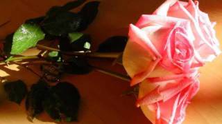 Deep Dish - In Love With a Friend