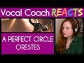 Vocal Coach reacts to A Perfect Circle - Orestes - Stone and Echo (Maynard James Keenan)