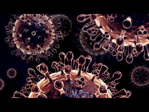 Click to Watch the COVID-19 Vaccine in Final Testing Phase video Click to Watch the COVID-19 Vaccine in Final Testing Phase video