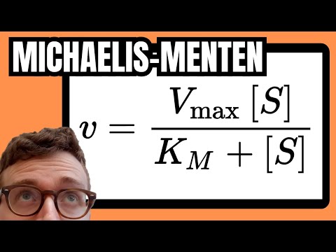 Michaelis Menten Equation Explained For Beginners