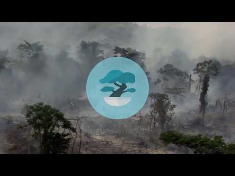 BLUE BONSAI REVOLUTION TRAILER