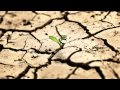 Awesome Melodic Dubstep Mix - 1 Hour Chillstep ...