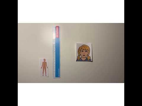 Transkription - einfach erklärt