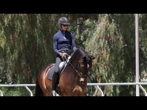 2019: How to ride Training Level Test 3